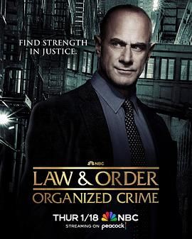 法律与秩序：组织犯罪 第四季第2集