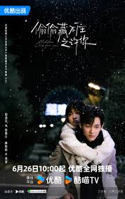 偷偷藏不住之许你(全集)