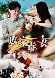 败家毒妻第01集